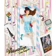 IdeAnimation(DVD�t)