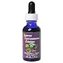 FES�t�����[�G�b�Z���X �����[���t�H�[�~����(Y.E..S) 30ml
