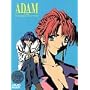 Adam The Double Factor