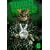 TOKYO TRIBE2 VOL.6(��������) [DVD]