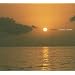 Endless Summer