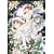 �����܂�~�K�[���E�~�[�c�E�K�[��~7 [DVD]