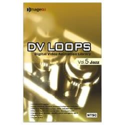 DV LOOPS Vol.5 �W���Y