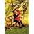 �X�E�B�[�g�E�m�x���o�[ ���ʔ� [DVD]