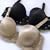 �s�W�����E�B�� ���[���h ���[���h�J�b�v�u���W���[ D80 ���J 6130011
