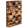 NARA:�ޗǔ��q�Ƃ̗��̋L�^ [DVD]