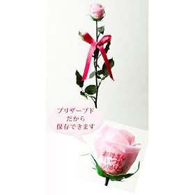 �y�s���̃v���U�[�u�h�ƁA���b�Z�[�W���[�Y���R���{���[�V�����I�z�v���U�[�u�h�E�G�^�[�i�� �{ ���芪�������̌�