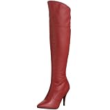 Pleaser Women's Vanity-2013 Boot