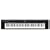 YAMAHA �|�[�^�u���O�����h NP-30