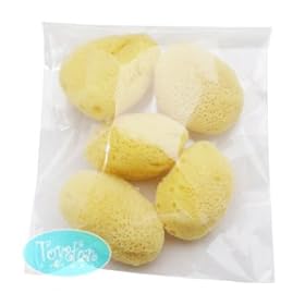 【クリックで詳細表示】天然海綿 1袋5個入り