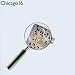 Chicago 16