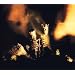 Riot Act