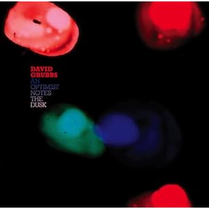 【クリックで詳細表示】デイヴィッド・グラブス ： アン・オプティミスト・ノーツ・ザ・ダスク - 音楽
