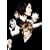 ROCK MUSICAL BLEACH(DVD�t)