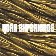 Experience