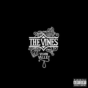 Vision Valley