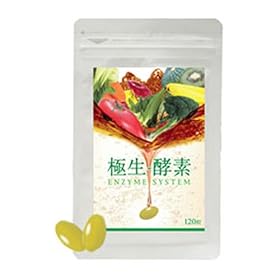 【クリックで詳細表示】極生-酵素エンザイムシステム