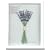�s�v�����g�@�A�[�g�t���[���tlavender�i���x���_�[�j