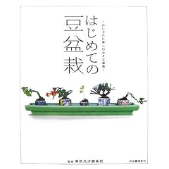 はじめての豆盆栽  気軽に楽しむ小さな盆栽