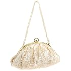 La Regale Pouch Frame Beaded Handle