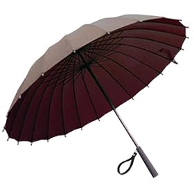 Ray 24�{���P 2007 �u���E��