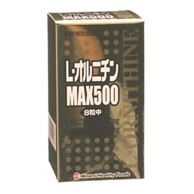 L-�I���j�`��MAX500 240��