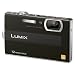 Panasonic �f�W�^���J���� LUMIX (���~�b�N�X) FP8 �u���b�N DMC-FP8-K