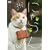 �ɂ��� ���� �������b�� [DVD]