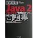 �O��U��Java2�v���O���}���W�\Platform1.4�Ή� (IT�v��/IT�G���W�j�A�̂��߂̓O��U��)