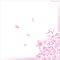 SHOEGAZER 21���I