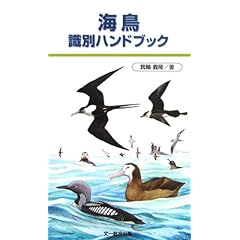 【クリックで詳細表示】海鳥識別ハンドブック： 箕輪 義隆： 本
