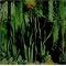 Itachi Buffering 01