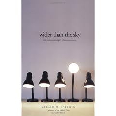 Wider Than the Sky: The Phenomenal Gift of Consciousness