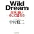 Wild Dream�\���t�A���� �����Č�낤
