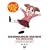 �����܂񂪑剤��1��@1�N�� (������萶�Y��) [DVD]