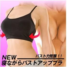 【クリックで詳細表示】NEW寝ながらバストアップブラ L