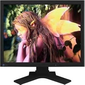 NANAO FlexScan 21.3�C���`�t���f�B�X�v���C L997-BK �u���b�N(�m���O���A�p�l��, 1600�~1200pixel)