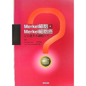 Merkel�זE�EMerkel�זE���\���̓䑽���זE����