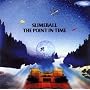THE POINT IN TIME
