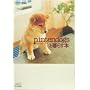 nintendogs�ƕ�炷�{