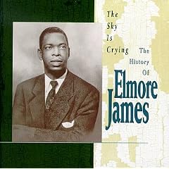 The Sky Is Crying : The History of Elmore James