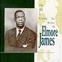 The Sky Is Crying : The History of Elmore James