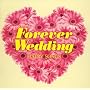�t�H�[�G���@�[�E�E�F�f�B���O~�n�b�s�[�E�\���O�X