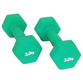���[�W�F���g�E�t�@�[�C�[�X�g �t�B�b�c�x�� (3.0KGx2�{) �O���[�� 39273