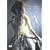 �č�R�E �v���~�A���E�t�@�[�X�g���C�u~invitation~ [DVD]