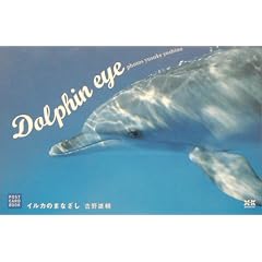 Dolphin eye�\�C���J�̂܂Ȃ��� (Postcard book)