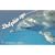 Dolphin eye�\�C���J�̂܂Ȃ��� (Postcard book)