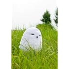 ぬいぐるみ付き