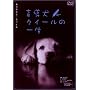 �ӓ����N�C�[���̈ꐶ / �O�[�b�h �O�[�b�h [DVD]