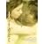 IT�o�u���ƐQ�������� [DVD]